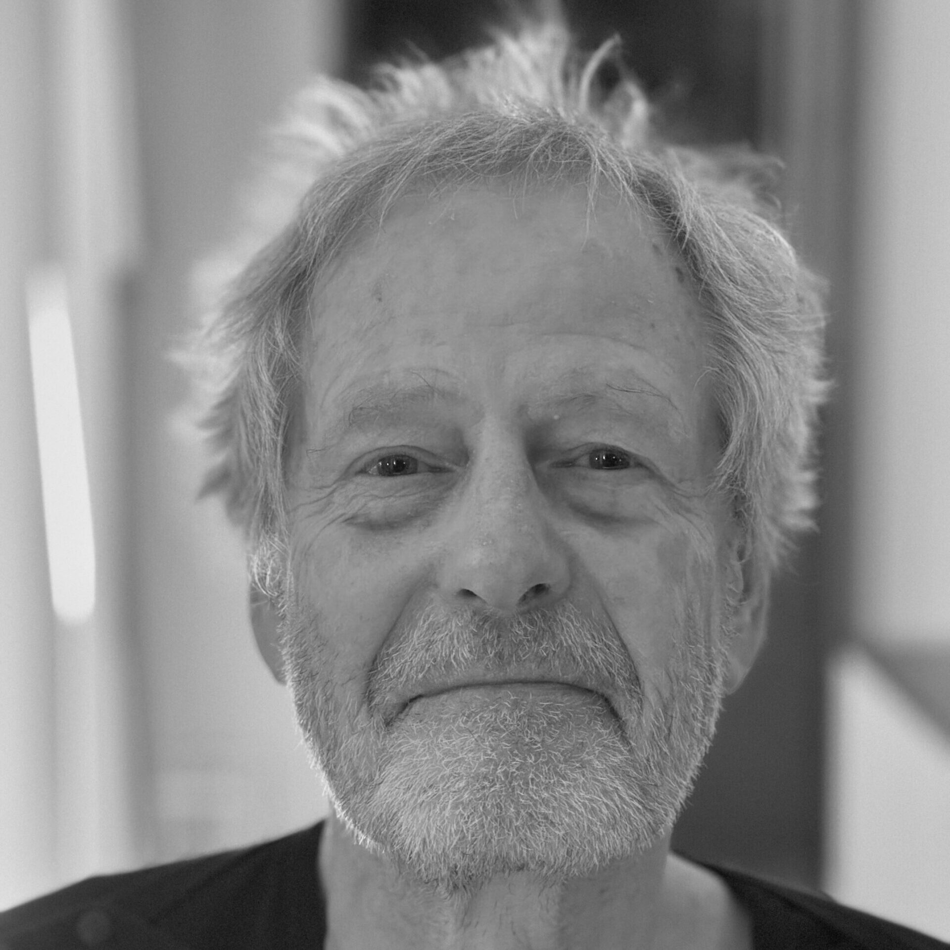 Martin Stokhof